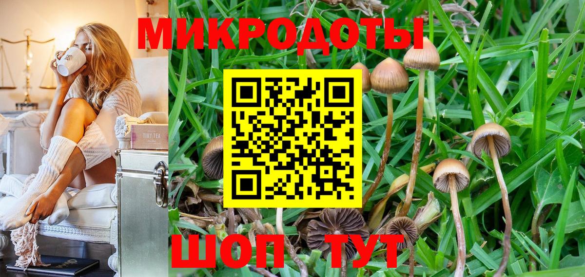 Псилоцибиновые грибы мицелий  закладки  Сунжа  Вход с VPN 